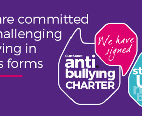 Pcc anti bullying facebook purple